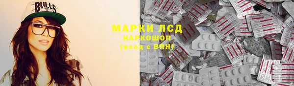 хмурый Белокуриха