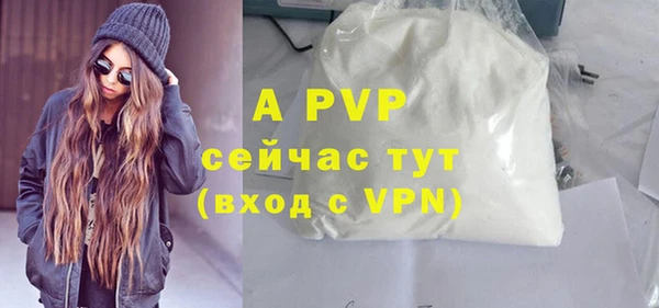 хмурый Белокуриха