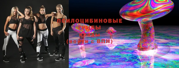 хмурый Белокуриха