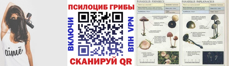 Галлюциногенные грибы Cubensis  Ворсма 